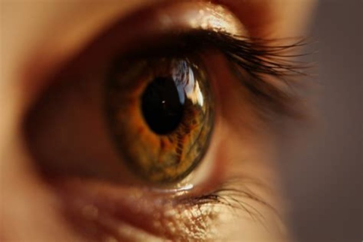 Can damaged eyes be repaired?