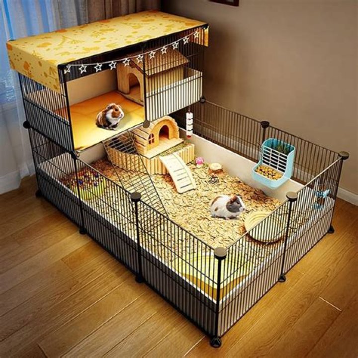 Can you cover hedgehog's cage?