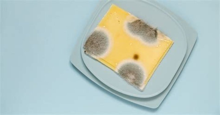 Can you eat moldy applesauce?