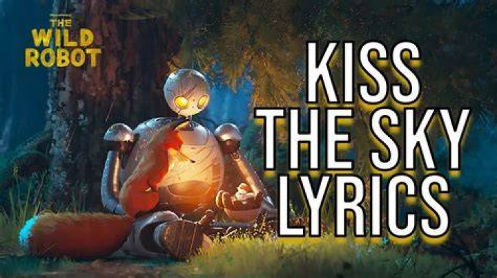 Can you kiss on a plane?