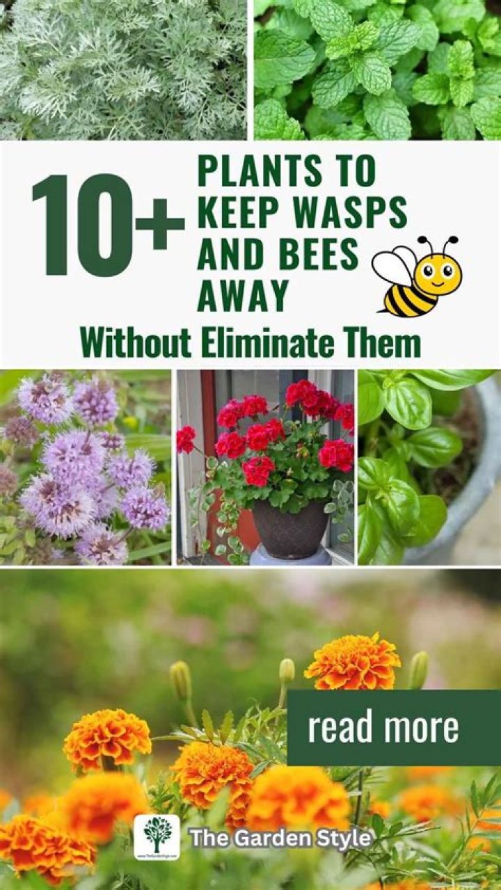 How big should a garden be to keep bees?