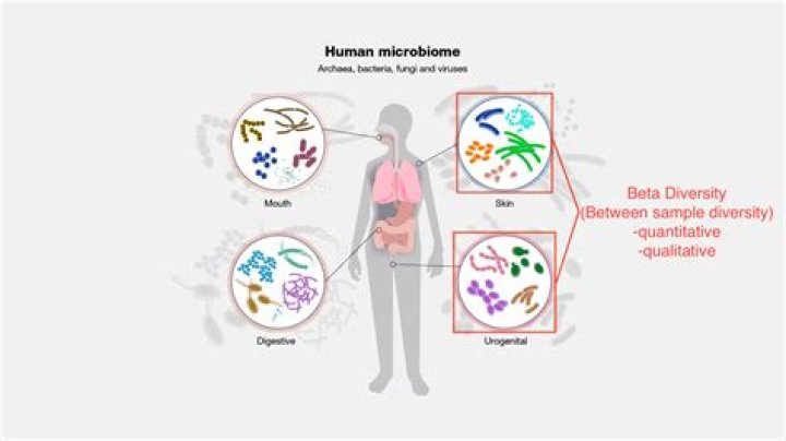How diverse is the human microbiome?