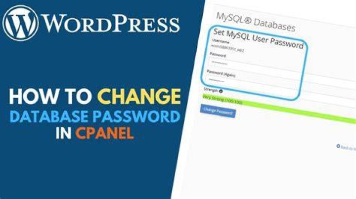 How do I change my WordPress database password?