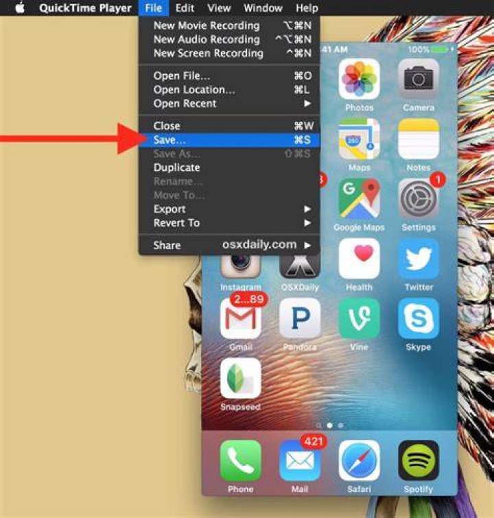 How do I download QuickTime to my iPhone?