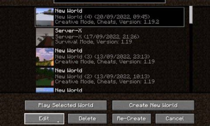 How do I save my single player world in Minecraft?