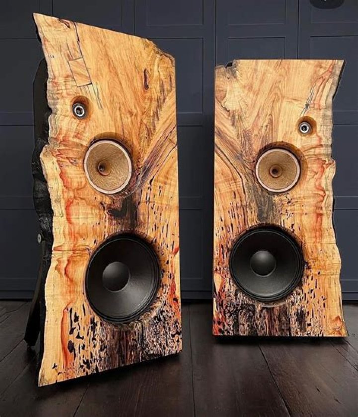 How do wooden speakers work?