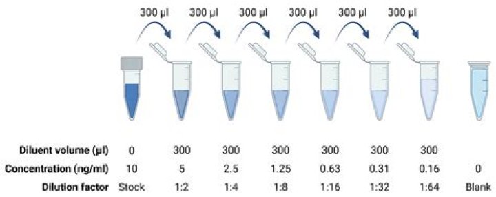 How do you dilute a stock antibiotic solution?