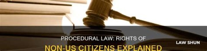 How does procedural law apply to non US citizens?