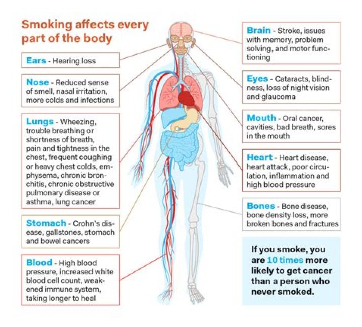 How does smoking affect your job?