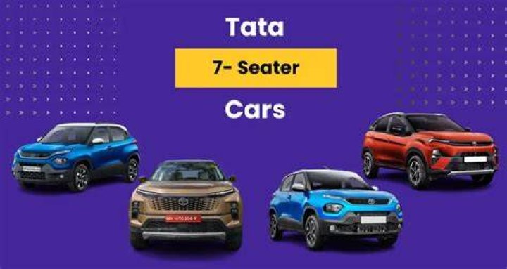 How does Tata Sky work?