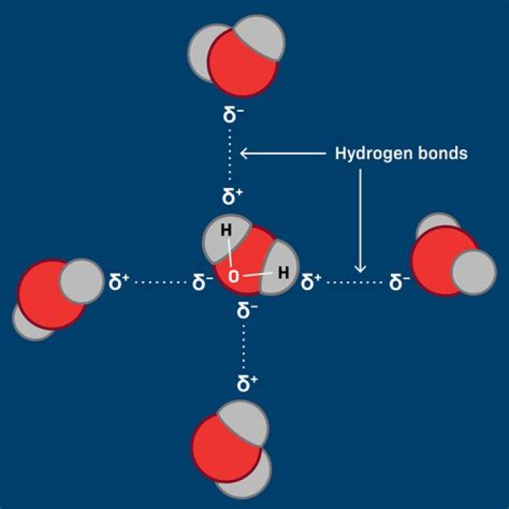 How many molecules are in a glass of water?