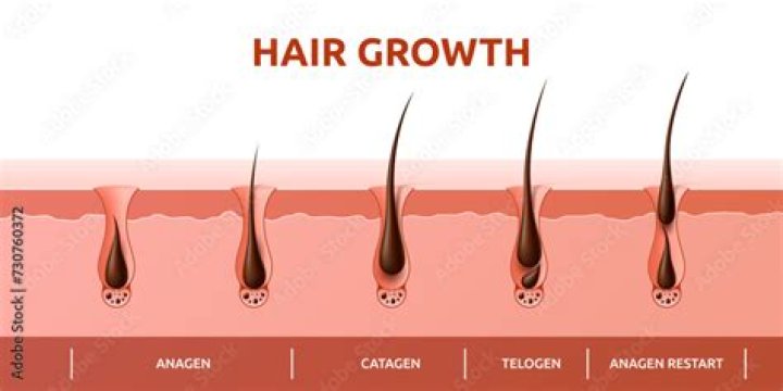 How much follicles grow after trigger?