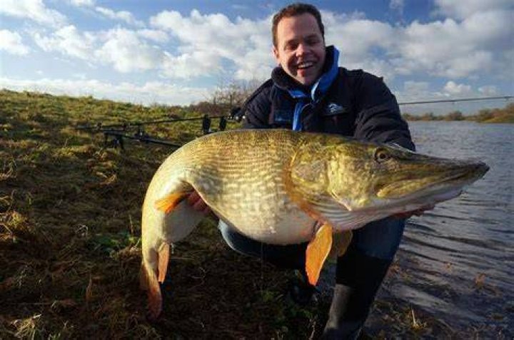 Is pike fishing good in the rain?