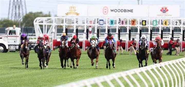 Is there live racing at Woodbine today?