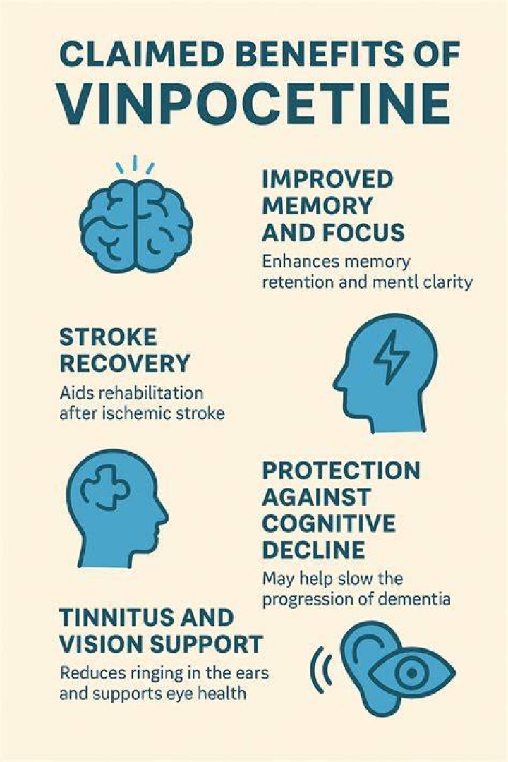 Is vinpocetine safe?
