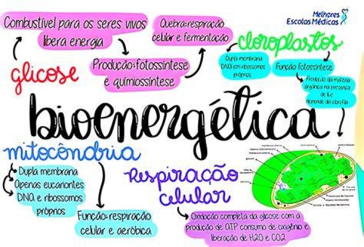 Qual o conceito de Bioenergetica?
