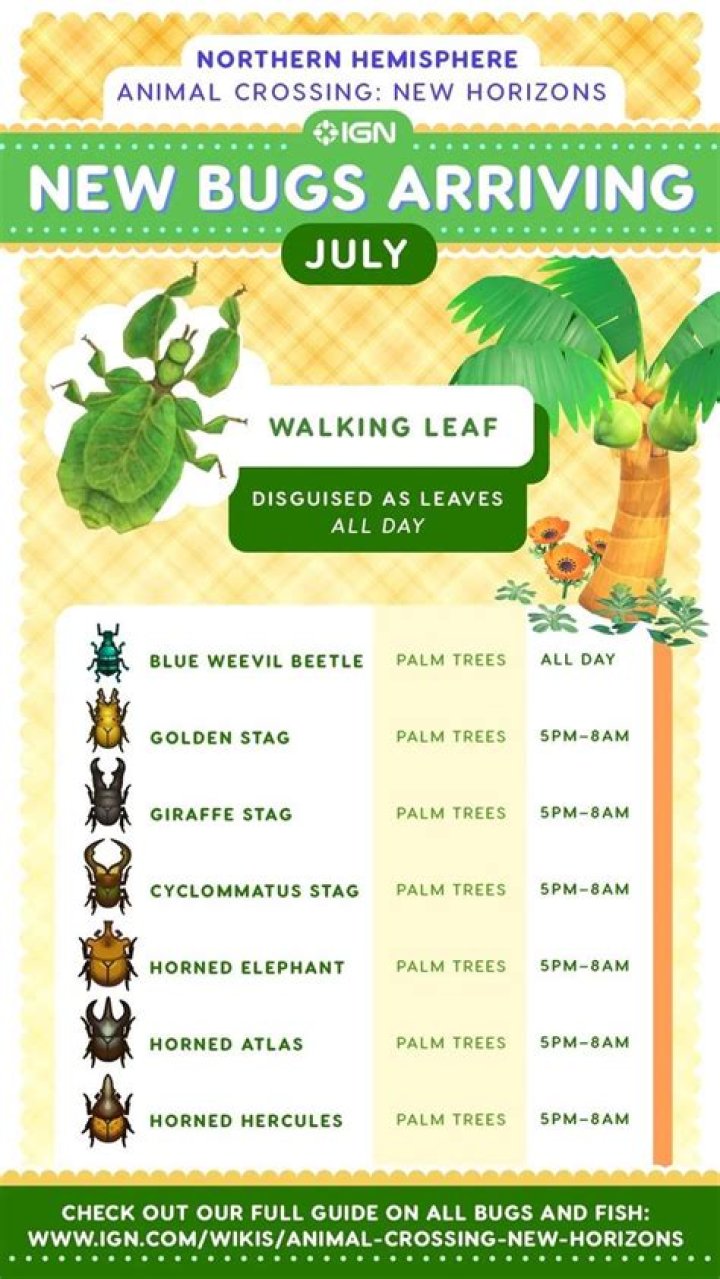 What are July bugs?