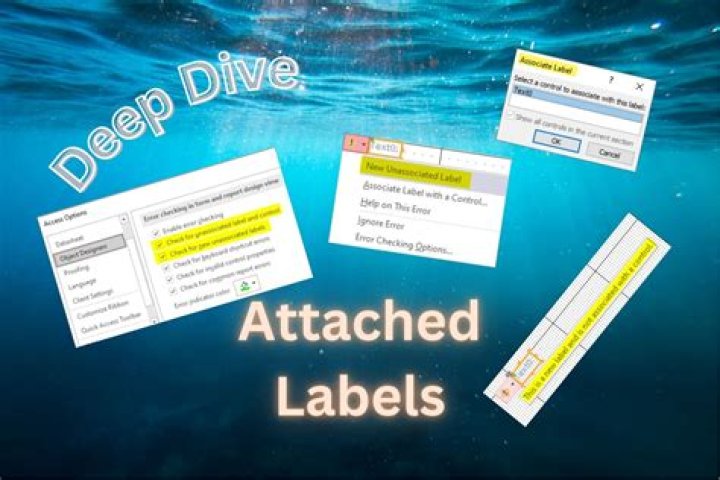 What are labels in access?