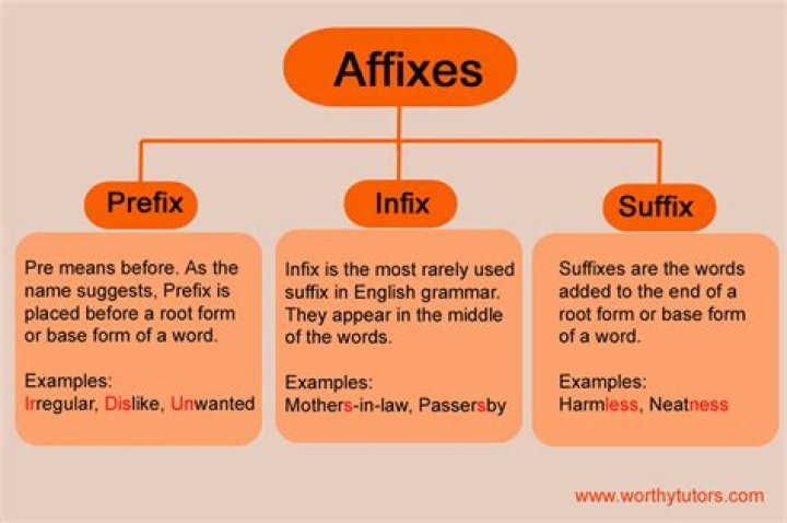 What are the two types of meaning of terms?