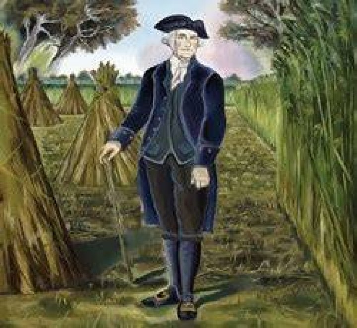 What crop did George Washington grow?