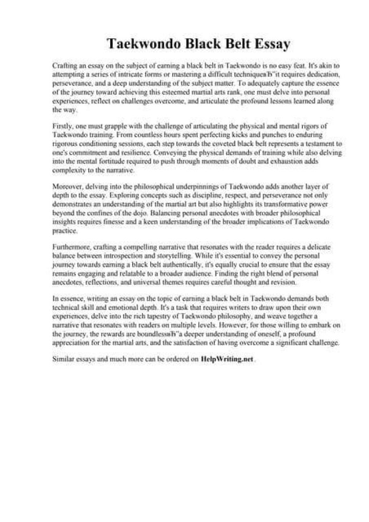 What do you write in a black belt essay?