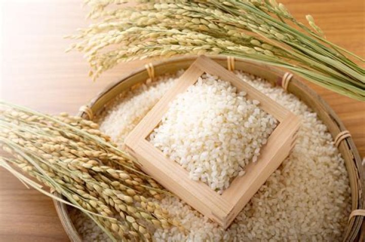 What food is staple in Japan and not in the US?