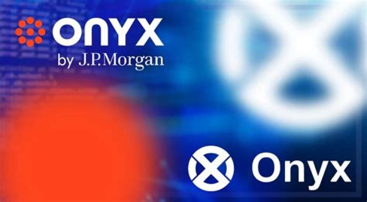 What is JP Morgan Onyx?