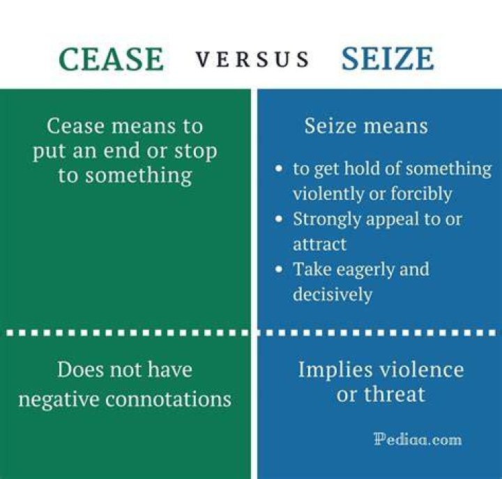 What is seize in law?