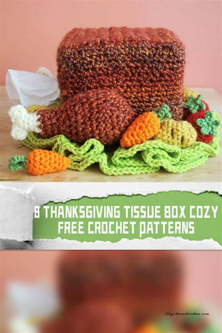 What is the cozy Turkey Day DIY?