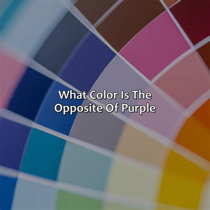What is the opposite of lurk?