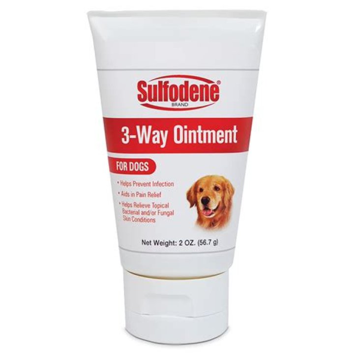 What kind of ointment can I put on my dogs cut?