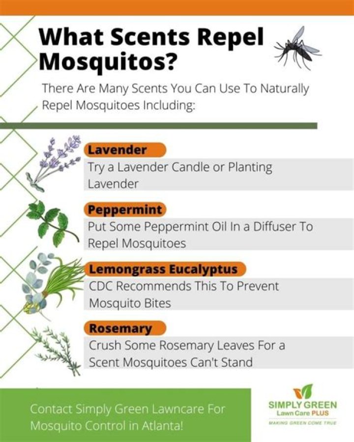 What smells do mosquitoes hate?