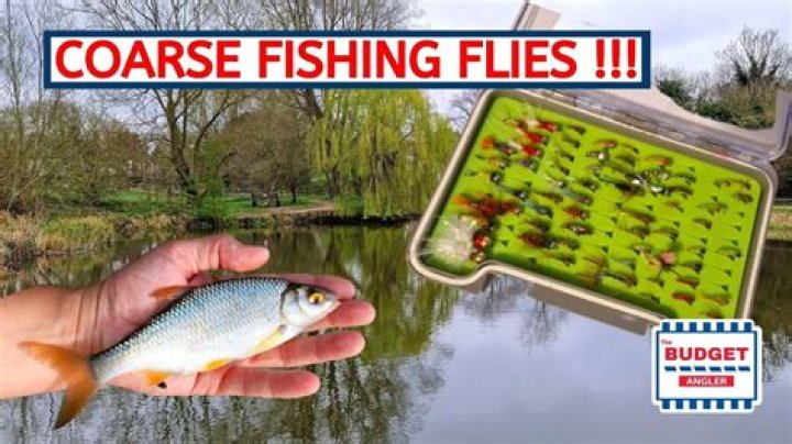 What Tackle do I need for coarse fishing?