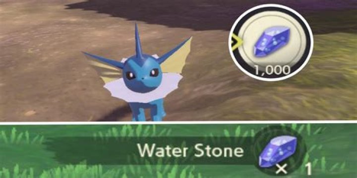 Where can you find a water Stone?