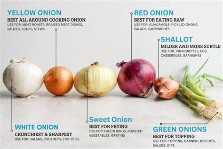 Which onions to use for what?