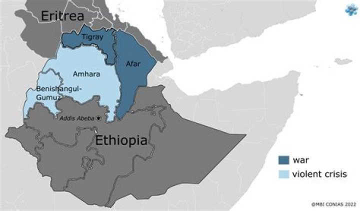 Who created TPLF?