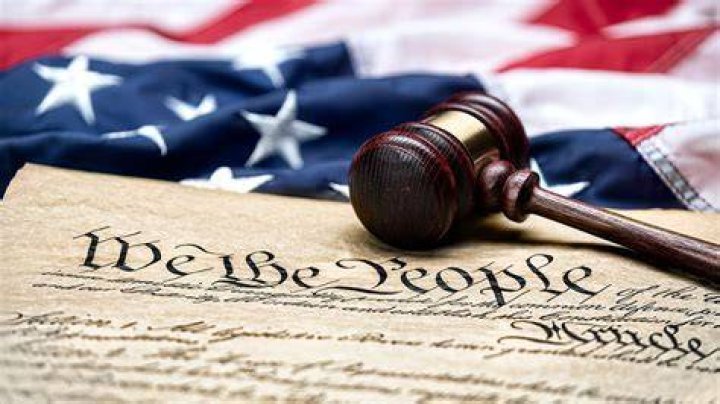 Who proposed the constitution?