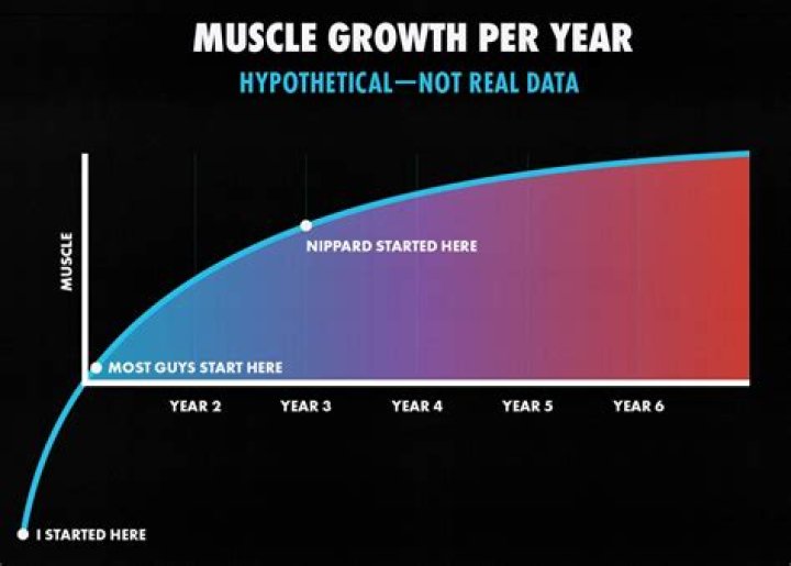 Why does muscle growth take so long?